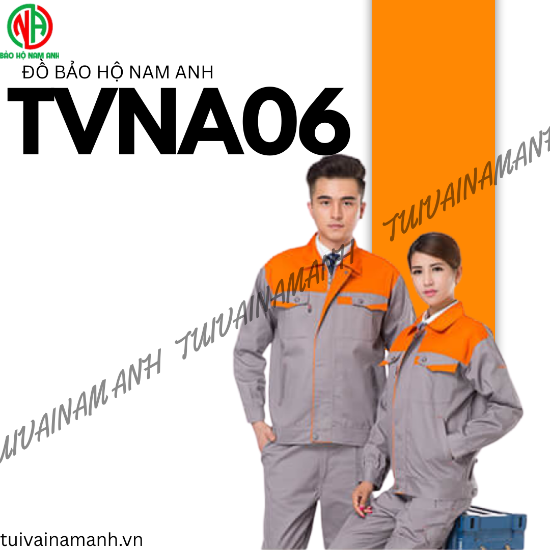 Bảo hộ Nam Anh